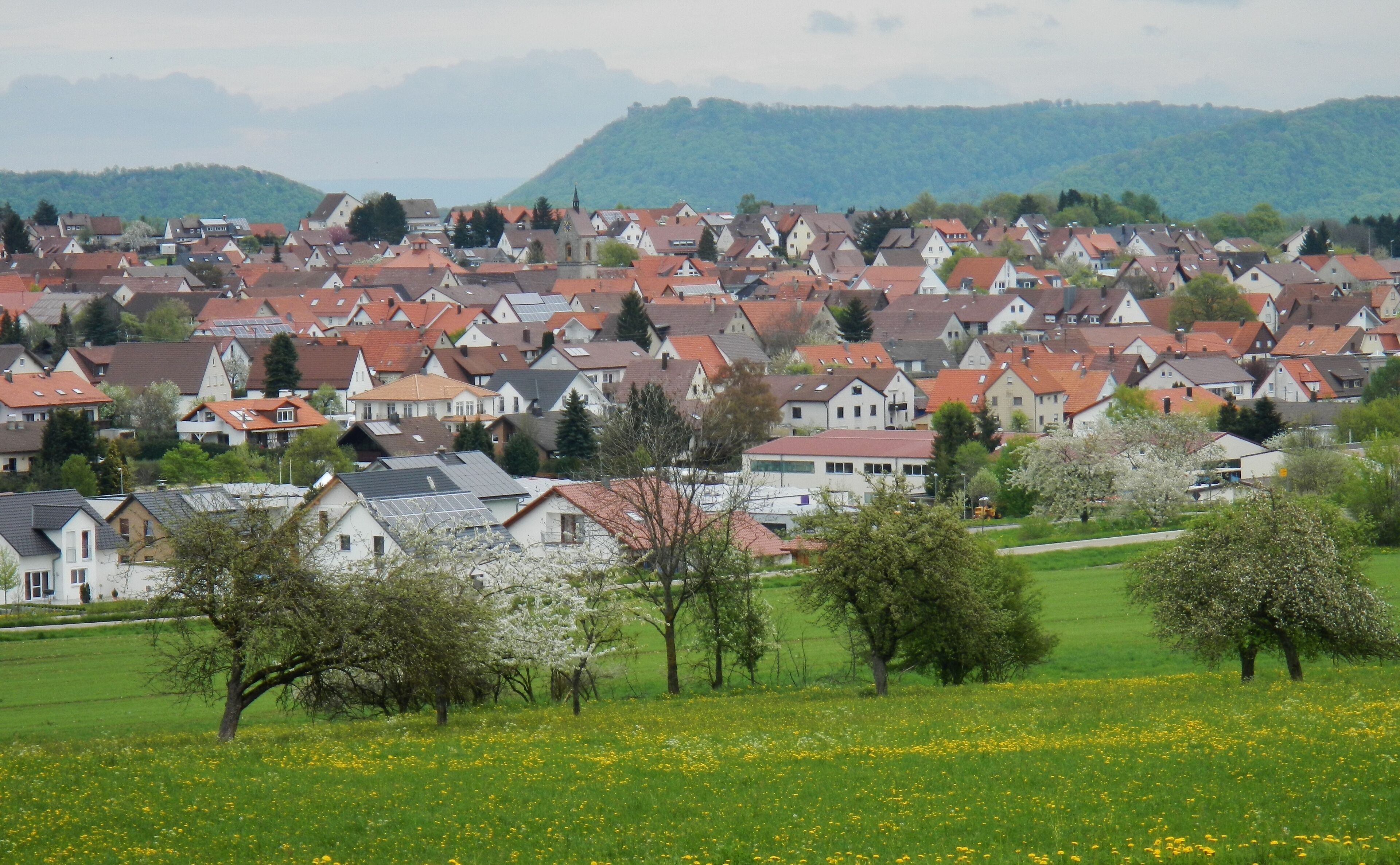 A town with red-roofed houses, green fields, and trees.