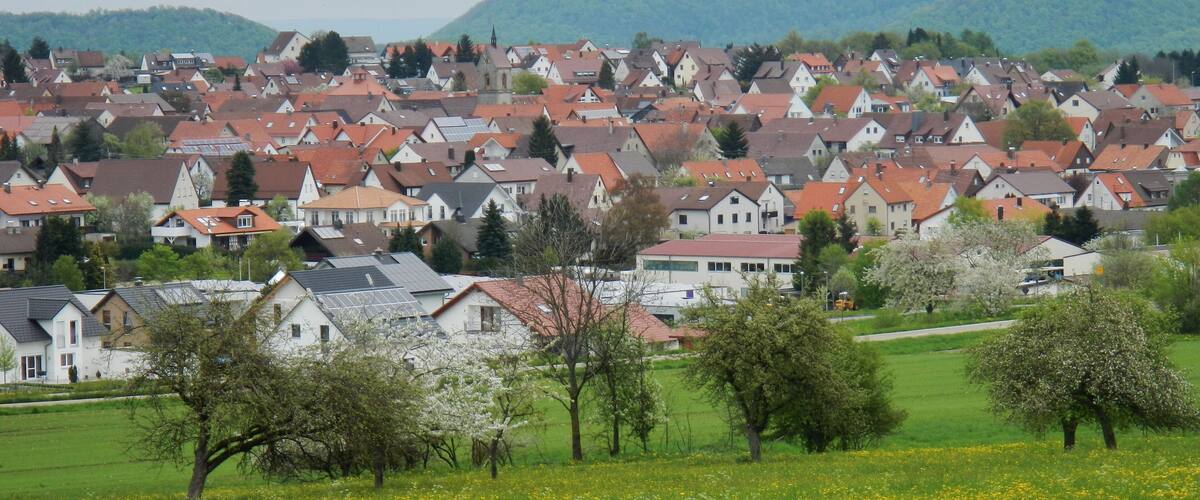 A town with red-roofed houses, green fields, and trees.