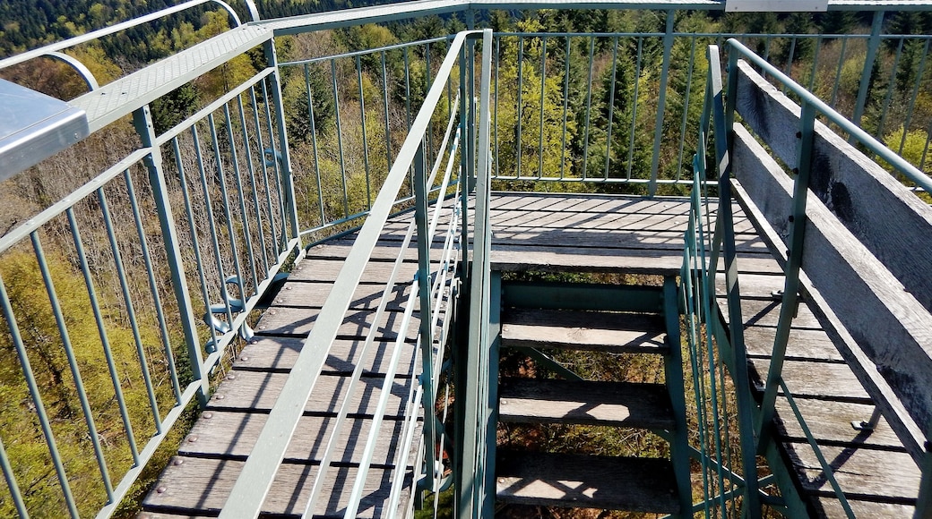 Ausblick vom Lembergturm 33 m hoch auf 1019 m. ü. NN: 1899 von Ph. Ant. Fauler Freiburg