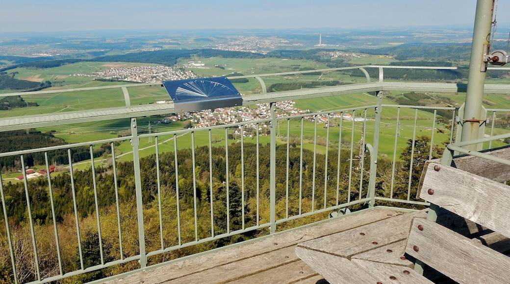 Ausblick vom Lembergturm 33 m hoch auf 1019 m. ü. NN: 1899 von Ph. Ant. Fauler Freiburg