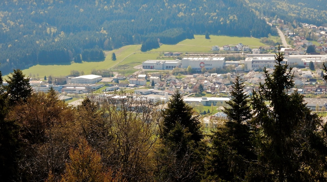 Ausblick vom Lembergturm 33 m hoch auf 1019 m. ü. NN auf Hermle