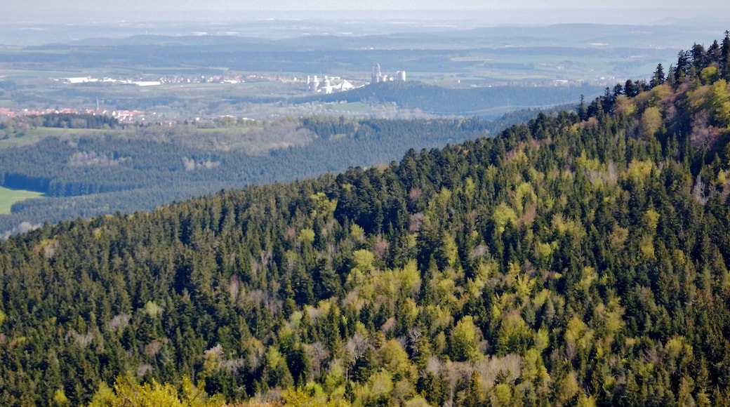 Ausblick vom Lembergturm 33 m hoch auf 1019 m. ü. NN: 1899 von Ph. Ant. Fauler Freiburg