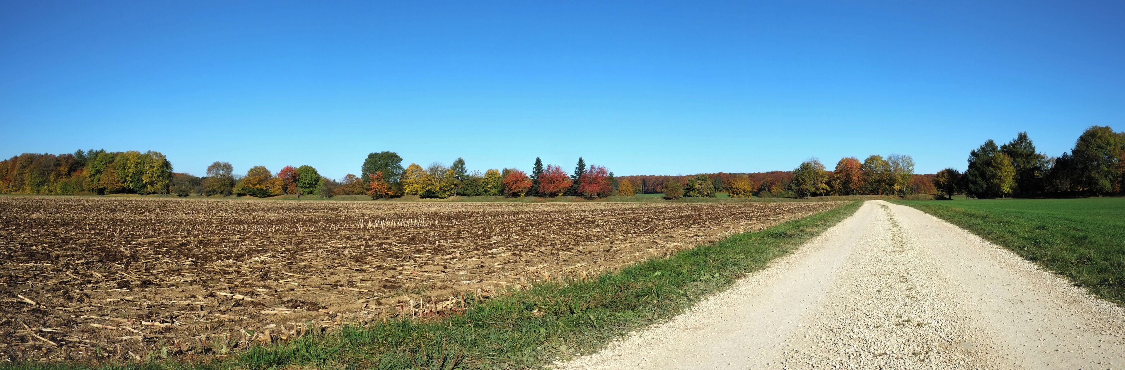 A plowed field with a gravel path leading through it, bordered by trees with autumn foliage.