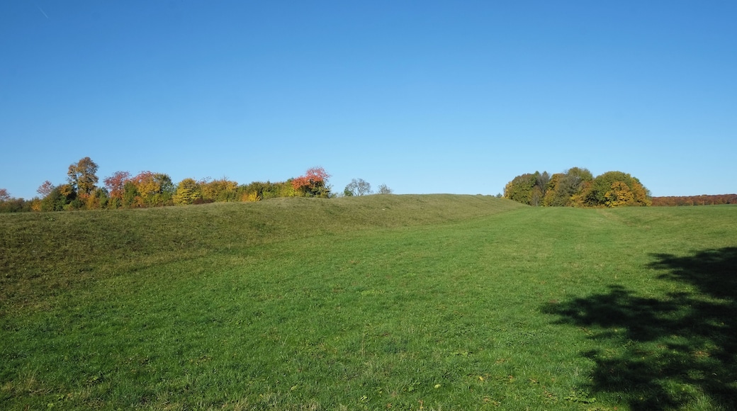 Celtic oppidum Heidengraben, earthworks of the Elsachstadt near Grabenstetten, Baden Wurttemberg, Germany
