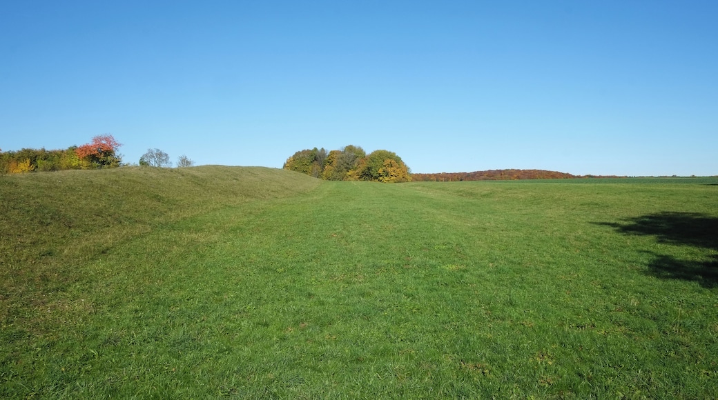 Celtic oppidum Heidengraben, partially filled in moat, earthworks of the Elsachstadt near Grabenstetten, Baden Wurttemberg, Germany