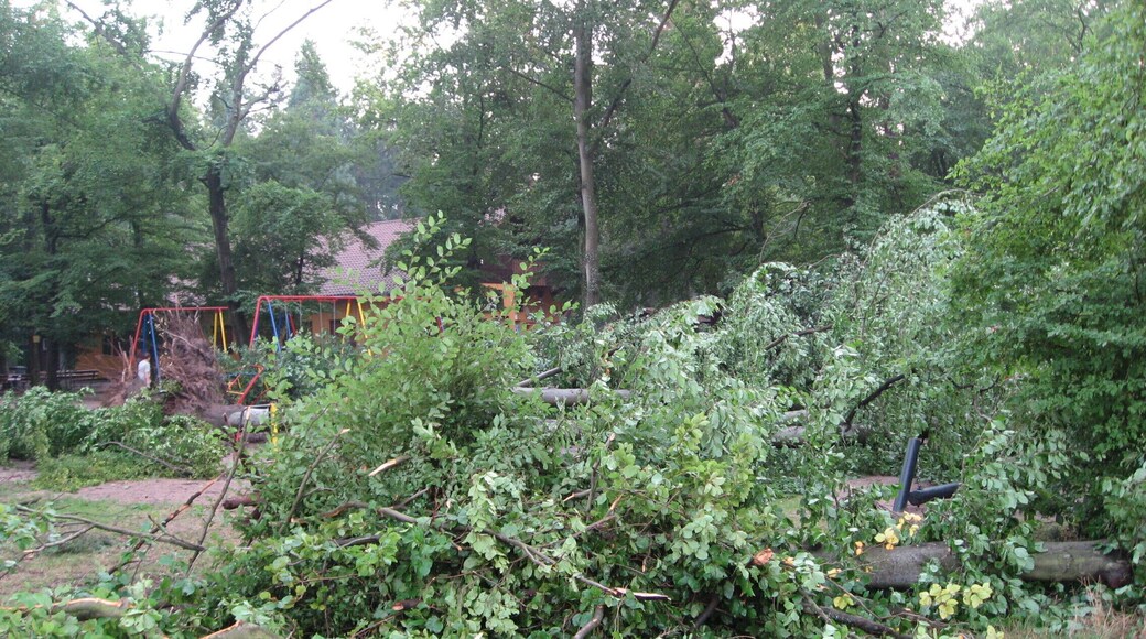 Tornadoschaden des Spielplatzes am Vogelpark in Hambrücken