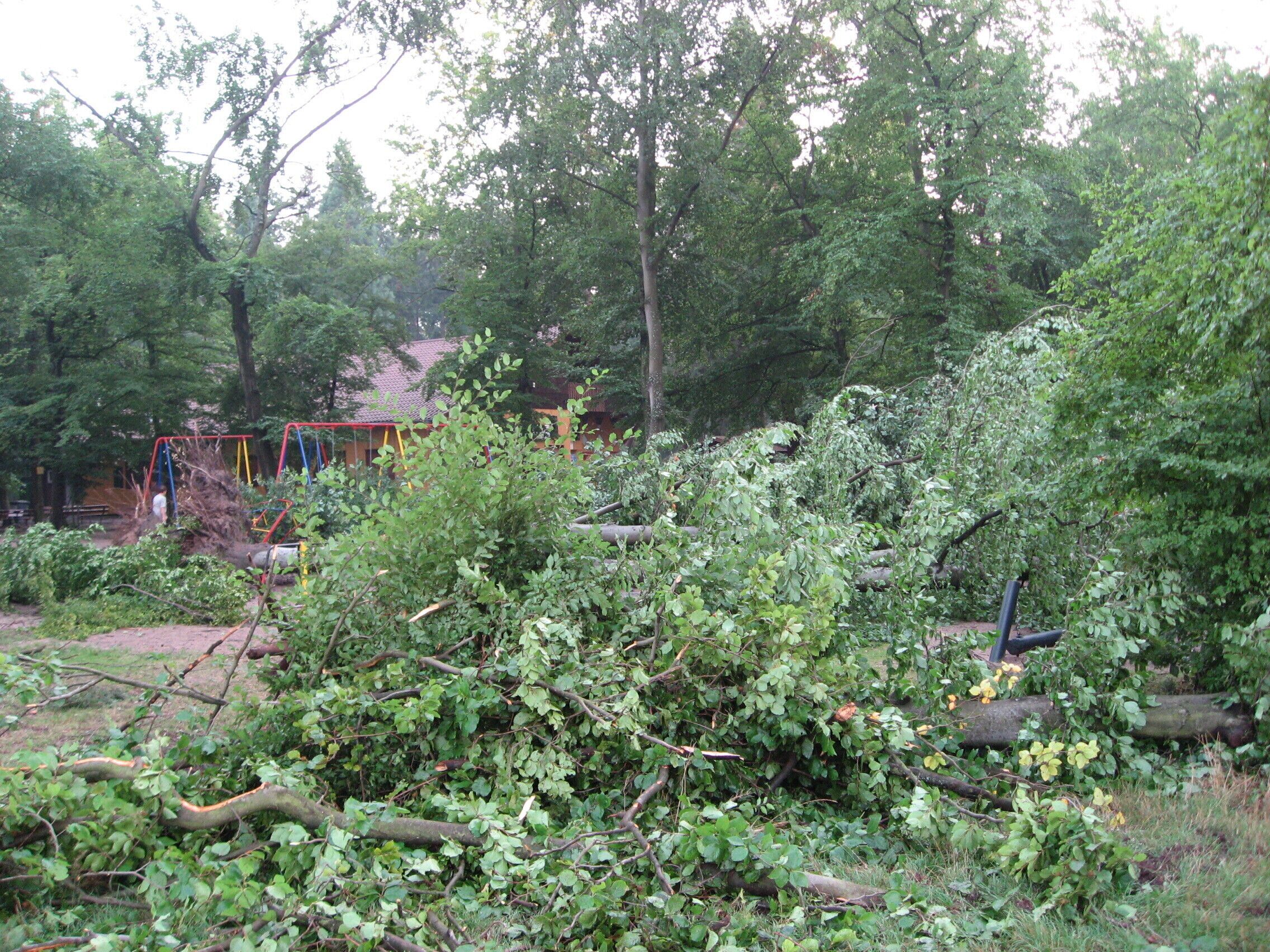 A park with fallen trees and a damaged swing set.