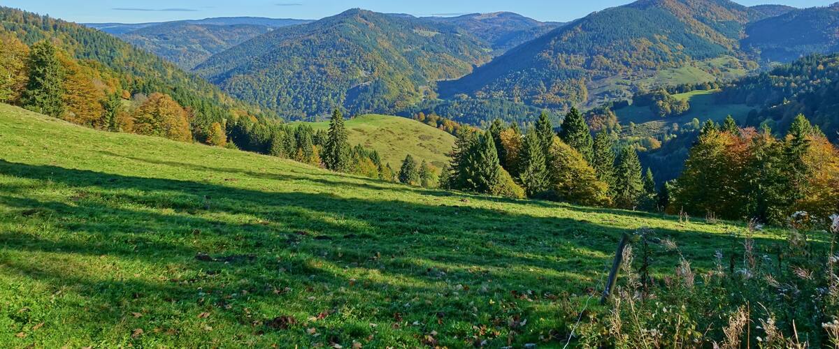 Im Naturschutzgebiet Gletscherkessel PrÀg