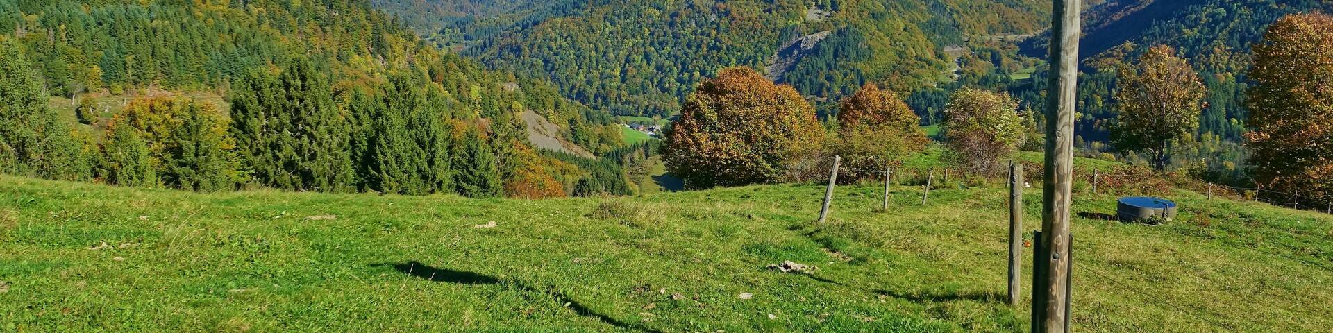 Im Naturschutzgebiet Gletscherkessel Präg
