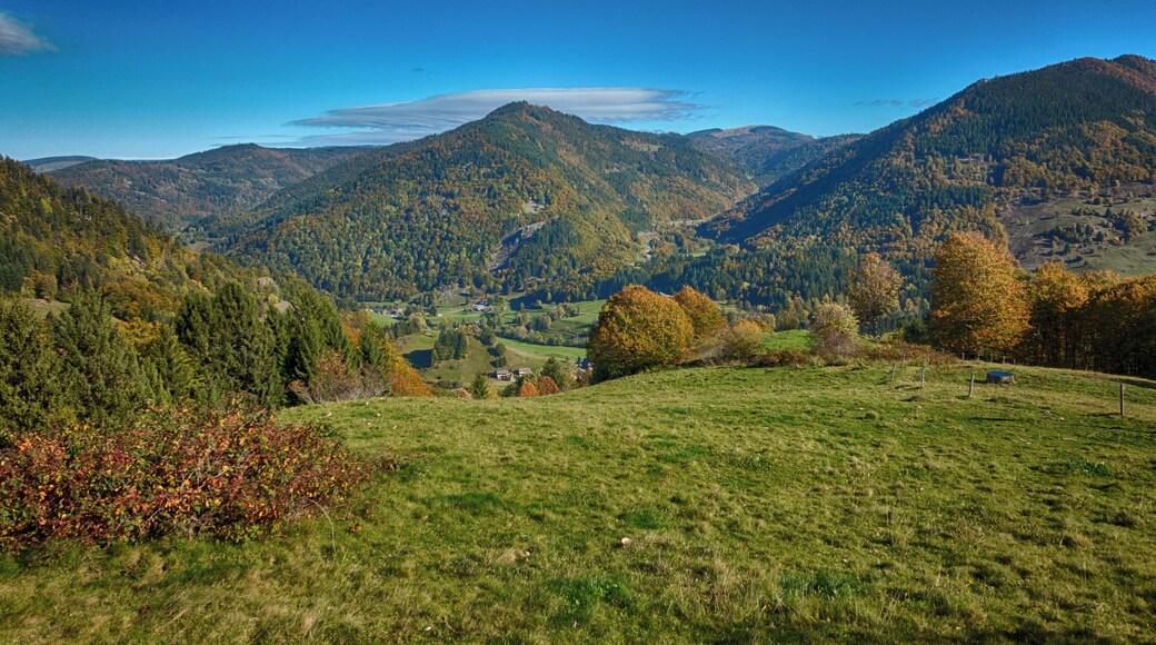 Im Naturschutzgebiet Gletscherkessel Präg