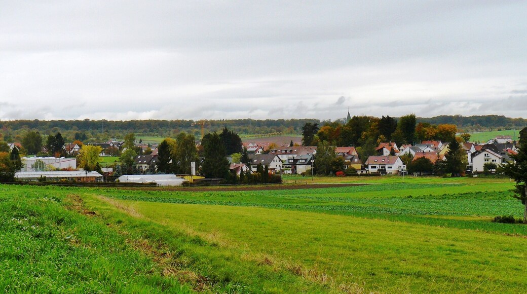 Hildrizhausen