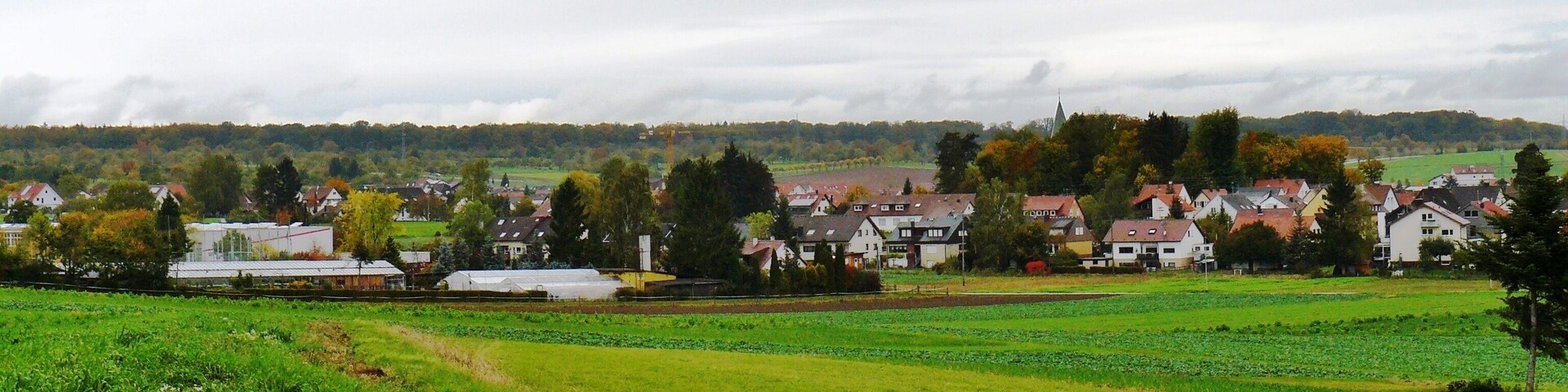 Hildrizhausen