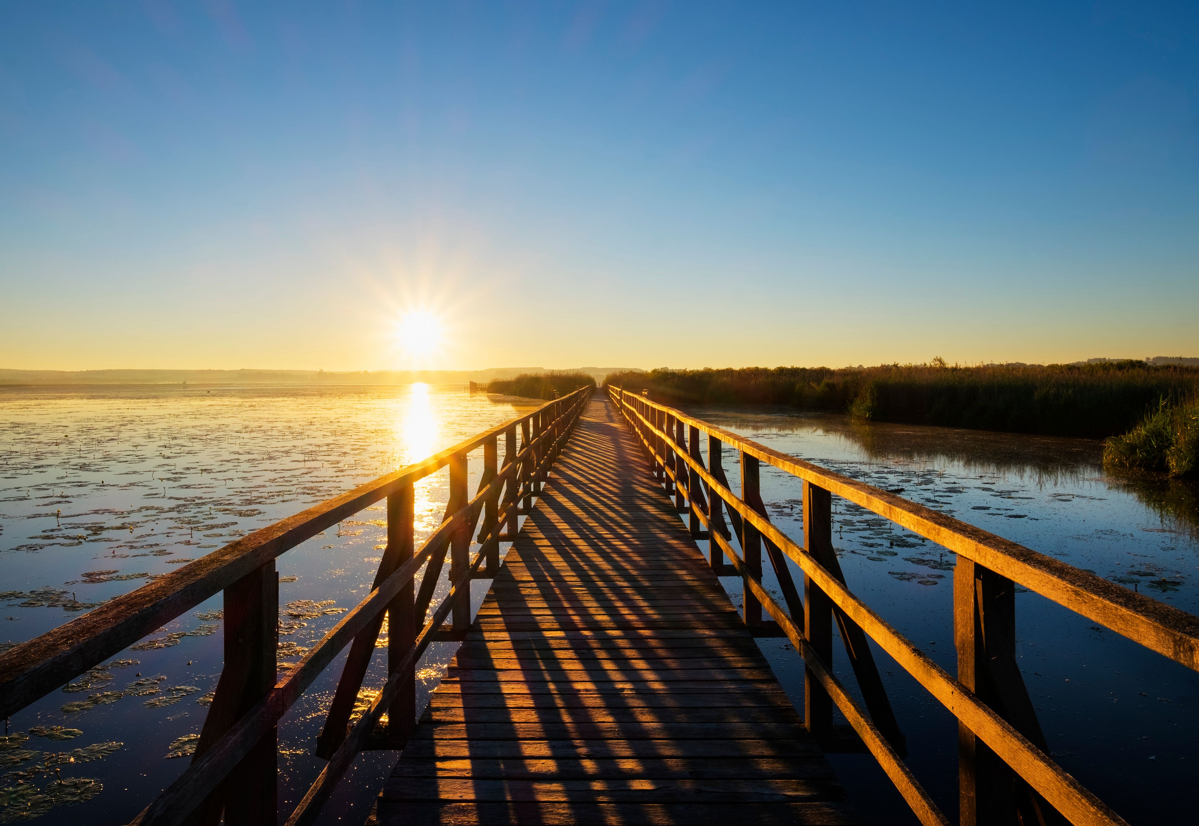 Eine Holzbrücke über einem ruhigen Fluss mit Seerosen, die zum Sonnenuntergang führt.