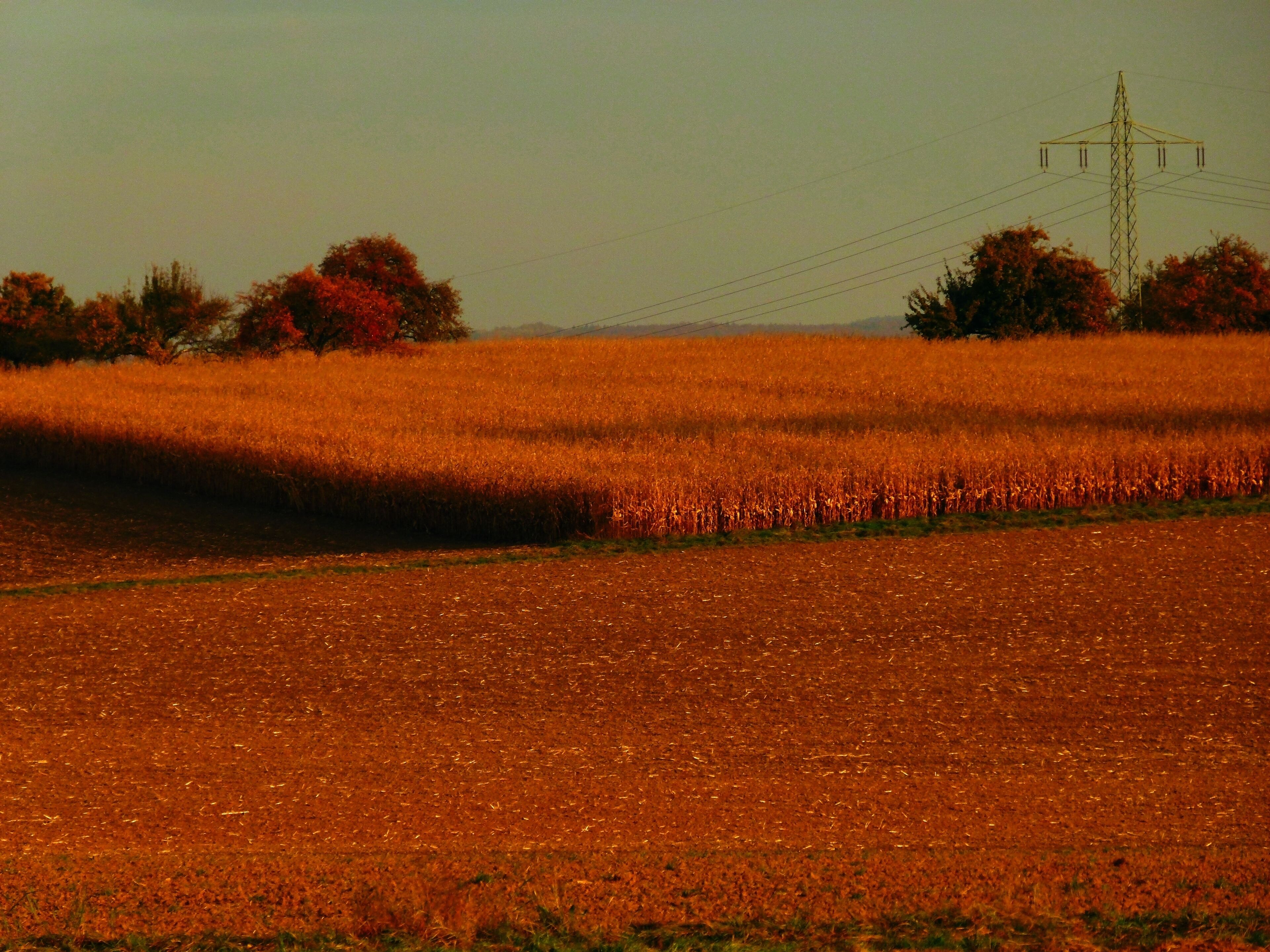 Bahnstromleitung in Kieselbronn (nahe Grenze Pforzheim)