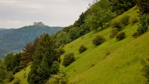 Blick vom Jusiberg zur Burg Hohenneuffen