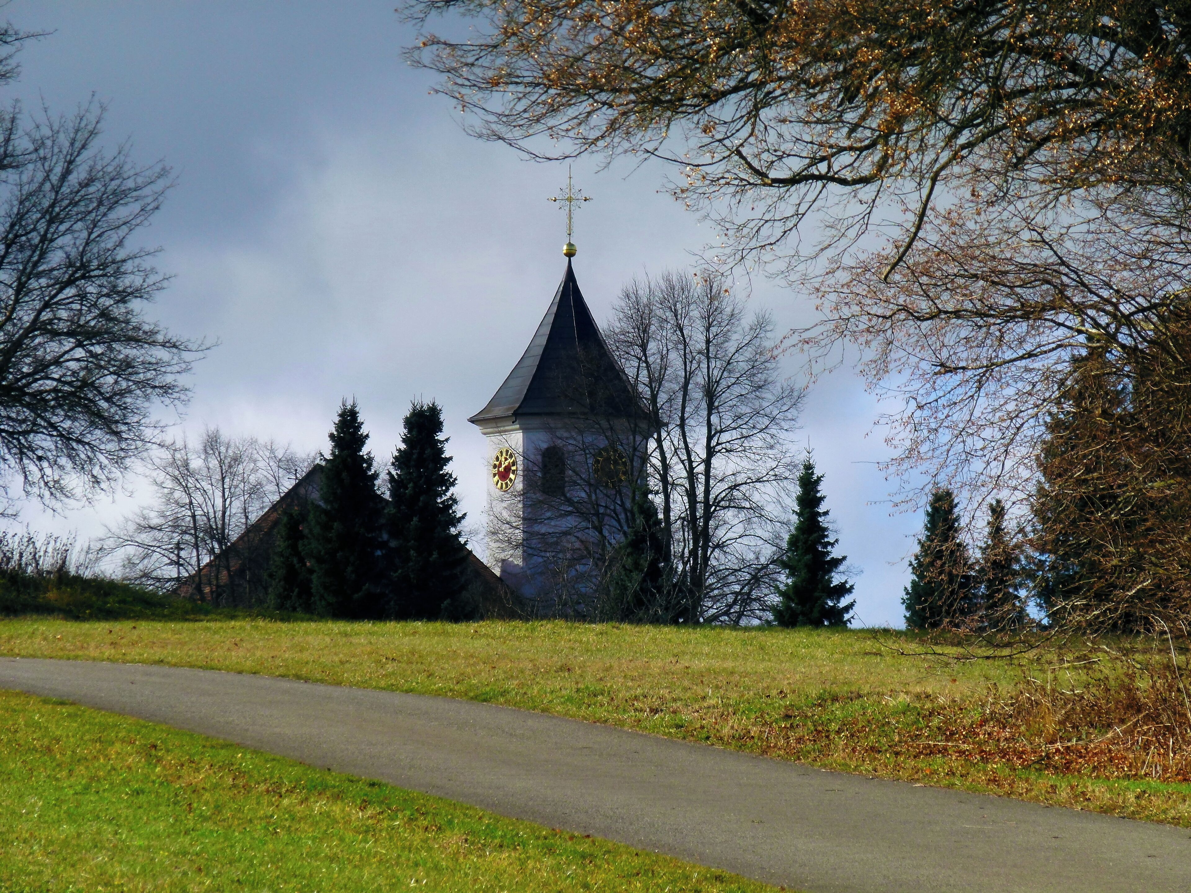 It Grows Over The Hill