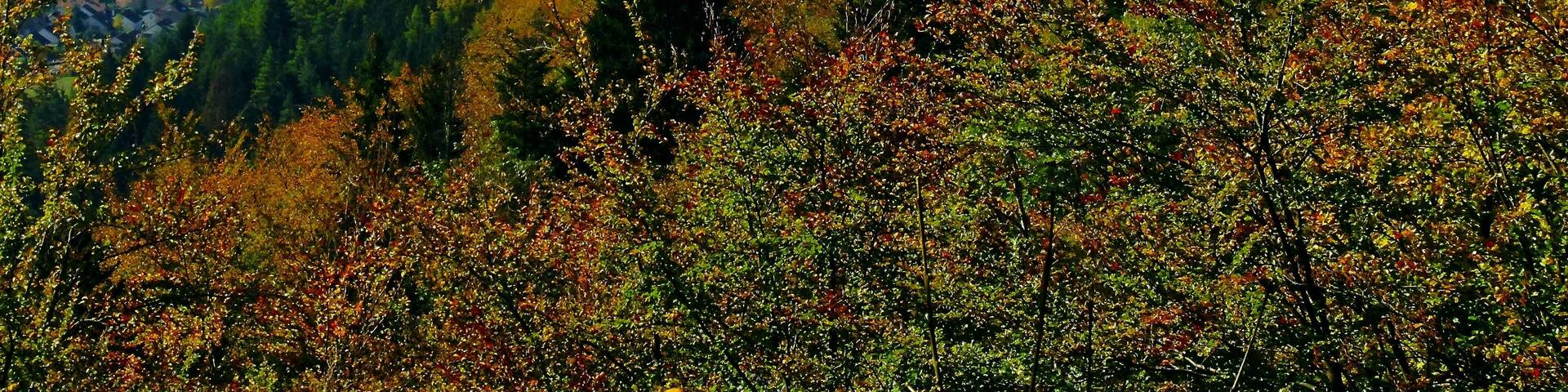 Mühlheim An Der Donau, Stetten