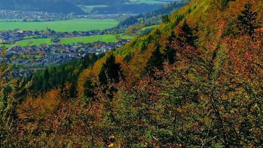 Mühlheim An Der Donau, Stetten