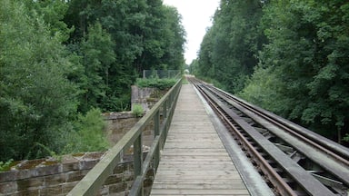 Brücke der Hegau-Ablachtal-Bahn über die Ablach im Fürstlichen Park von Krauchenwies