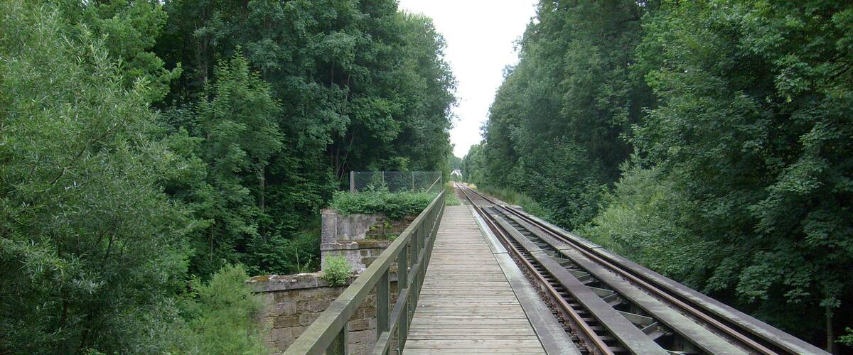 A wooden bridge with metal railings, surrounded by dense green foliage.