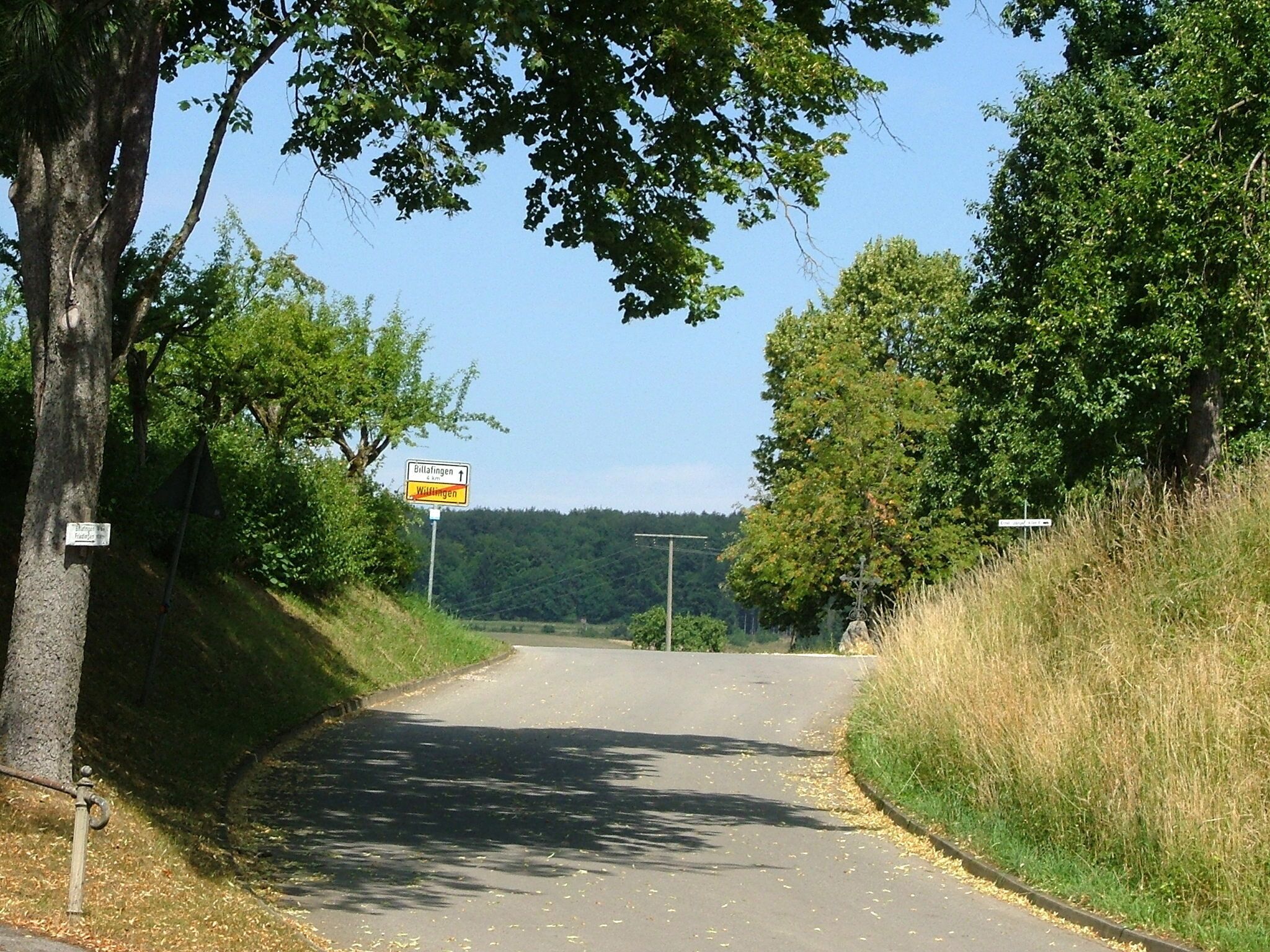 A rural road with directional signs for Billafingen and Wittingen, surrounded by trees and greenery.