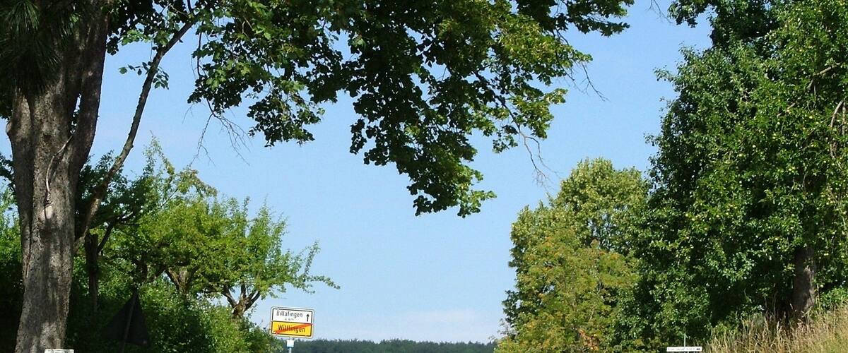 A rural road with directional signs for Billafingen and Wittingen, surrounded by trees and greenery.
