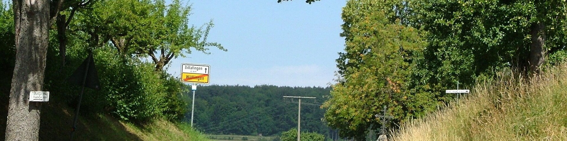 A rural road with directional signs for Billafingen and Wittingen, surrounded by trees and greenery.