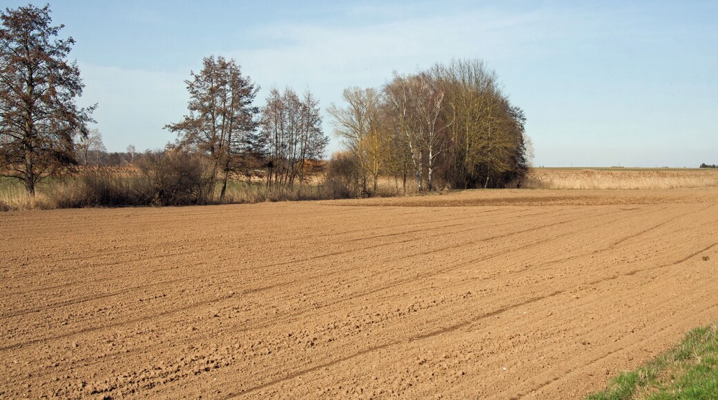 Ursprungsgebiet des Altenbachs südwestlich von Löchgau