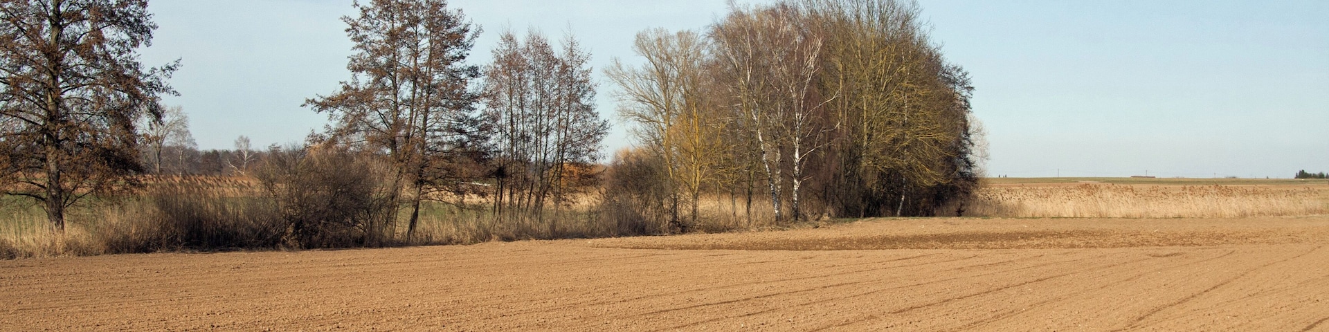 Ursprungsgebiet des Altenbachs südwestlich von Löchgau