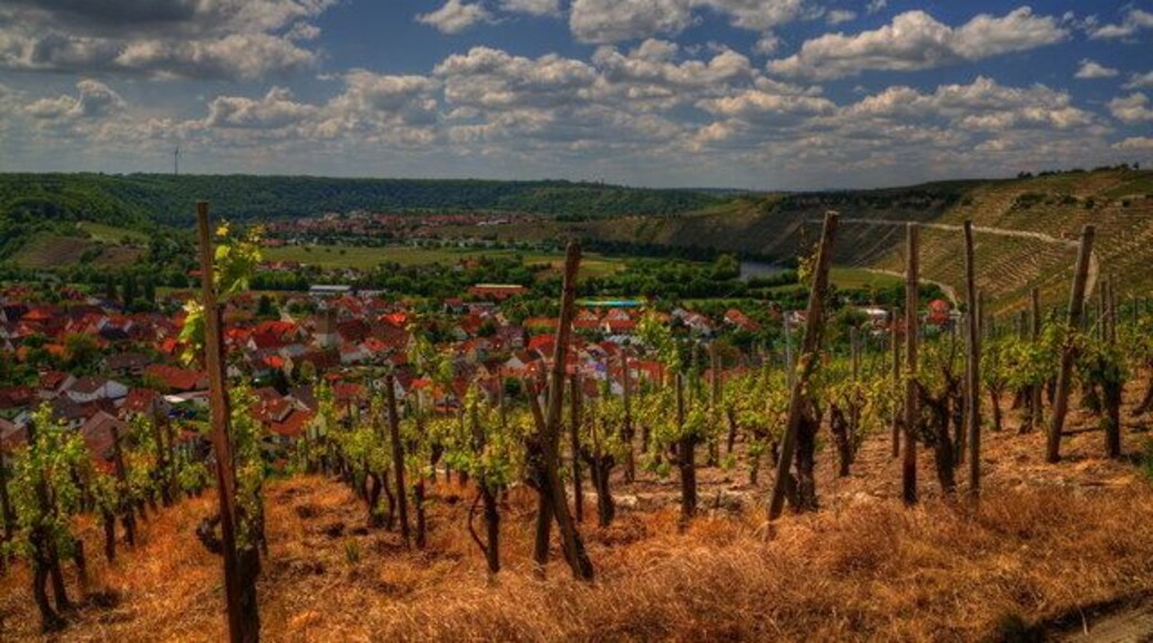 Mundelsheim und Hessigheim im Neckartal (Mundelsheim and Hessigheim in the Neckar valley)