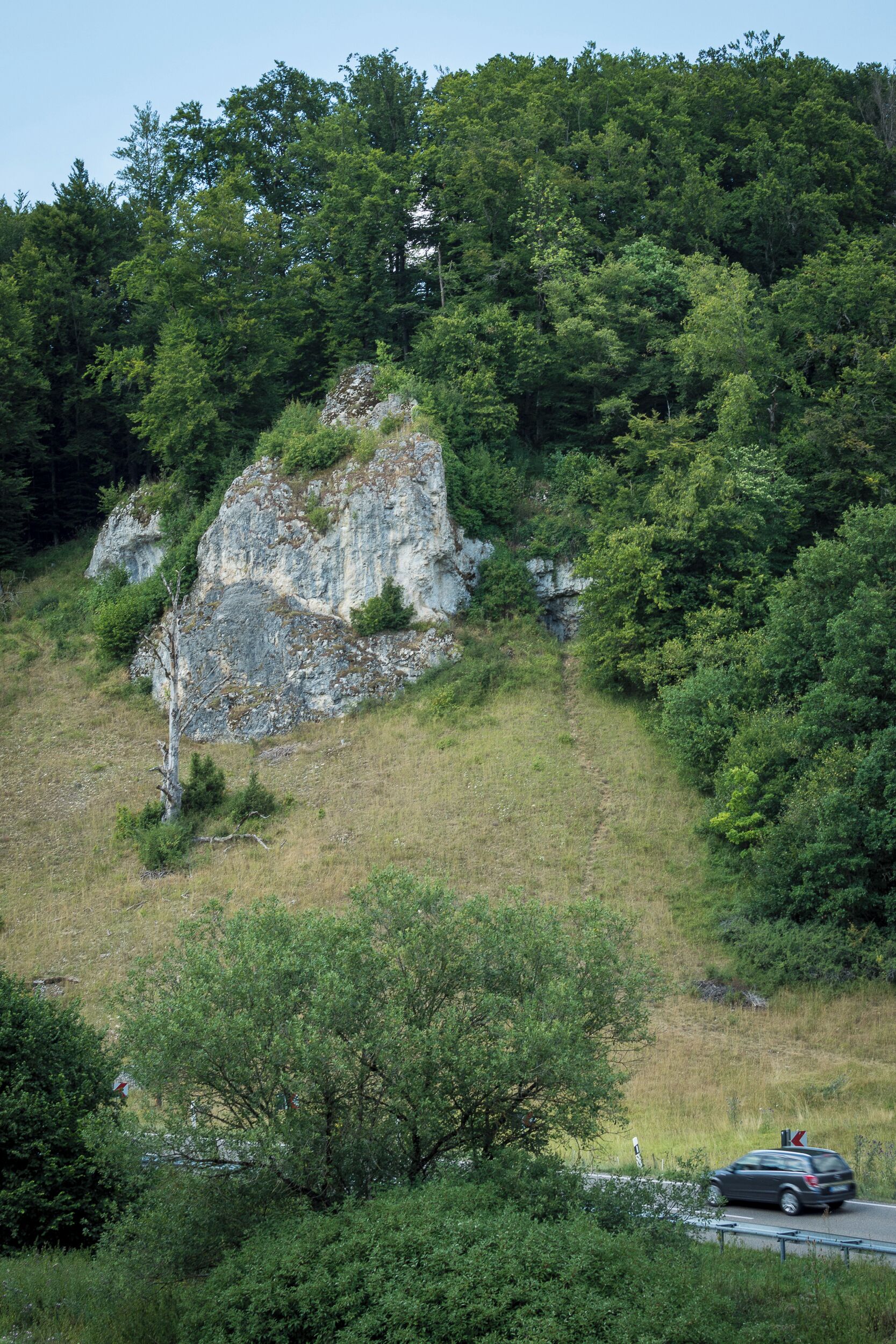 A rocky hill with dense forest in the background and a road with a car in the foreground.