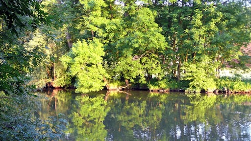 Enz bei Oberriexingen