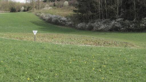 Feuchtgebiet Buchenschnäue etwa 650 m E des Obersontheimer Neuhofs am Fuß des Hangwaldes Buchenschnab (lokaler Name, auf Karten: Buchenschnäue). Es liegt am oberen Ende der Talbildung eines kleinen linken Zuflusses des Nesselbachs im Gipskeuper. Am rechten Bildrand wurde augenscheinlich eine Entwässerungsrinne künstlich geschaffen..
