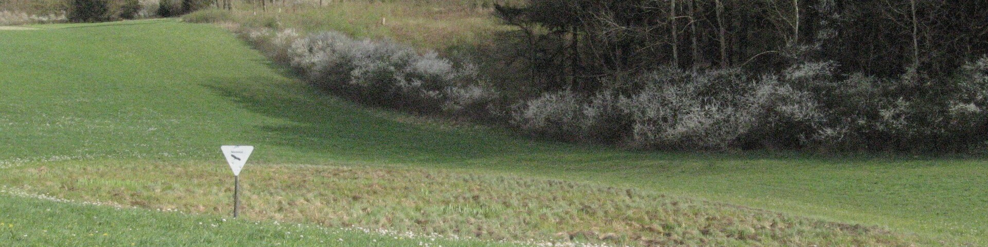 Feuchtgebiet Buchenschnäue etwa 650 m E des Obersontheimer Neuhofs am Fuß des Hangwaldes Buchenschnab (lokaler Name, auf Karten: Buchenschnäue). Es liegt am oberen Ende der Talbildung eines kleinen linken Zuflusses des Nesselbachs im Gipskeuper. Am rechten Bildrand wurde augenscheinlich eine Entwässerungsrinne künstlich geschaffen..
