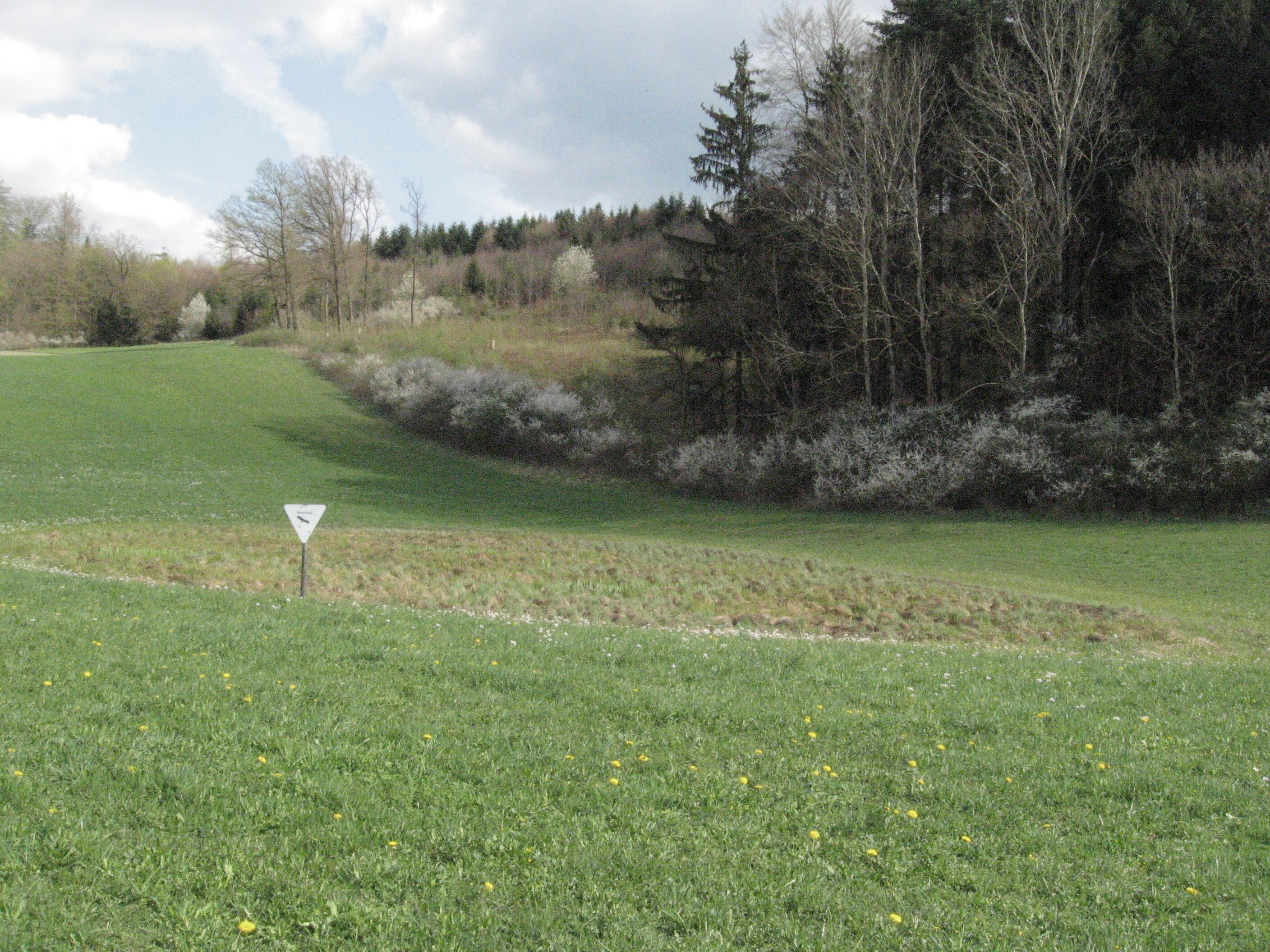 A grassy field with a triangular sign, trees, and a forest in the background.