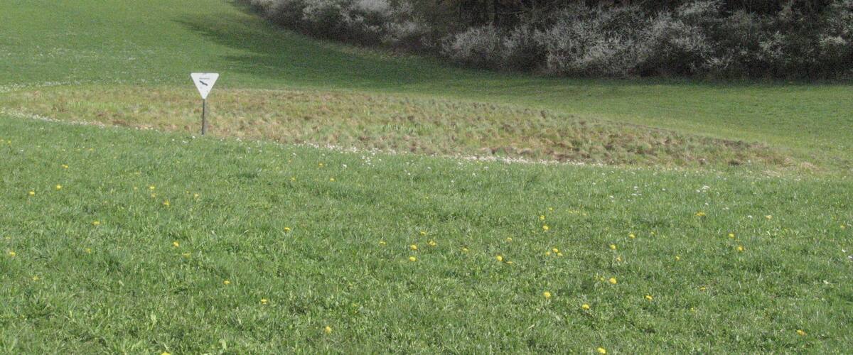 A grassy field with a triangular sign, trees, and a forest in the background.