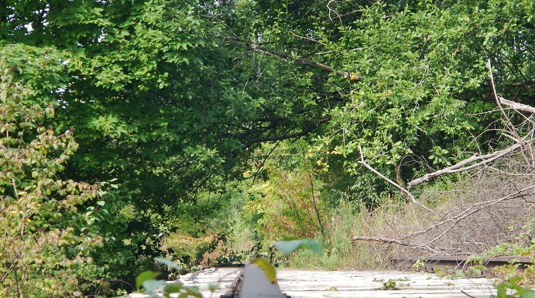 Hermann-Hesse-Bahn, S-Bahn Fertigstellung spätestens 2019 geplant , ehemalig: Württembergische Schwarzwaldbahn, Stuttgart Calw, eröffnet 1872, eingestellt 1983