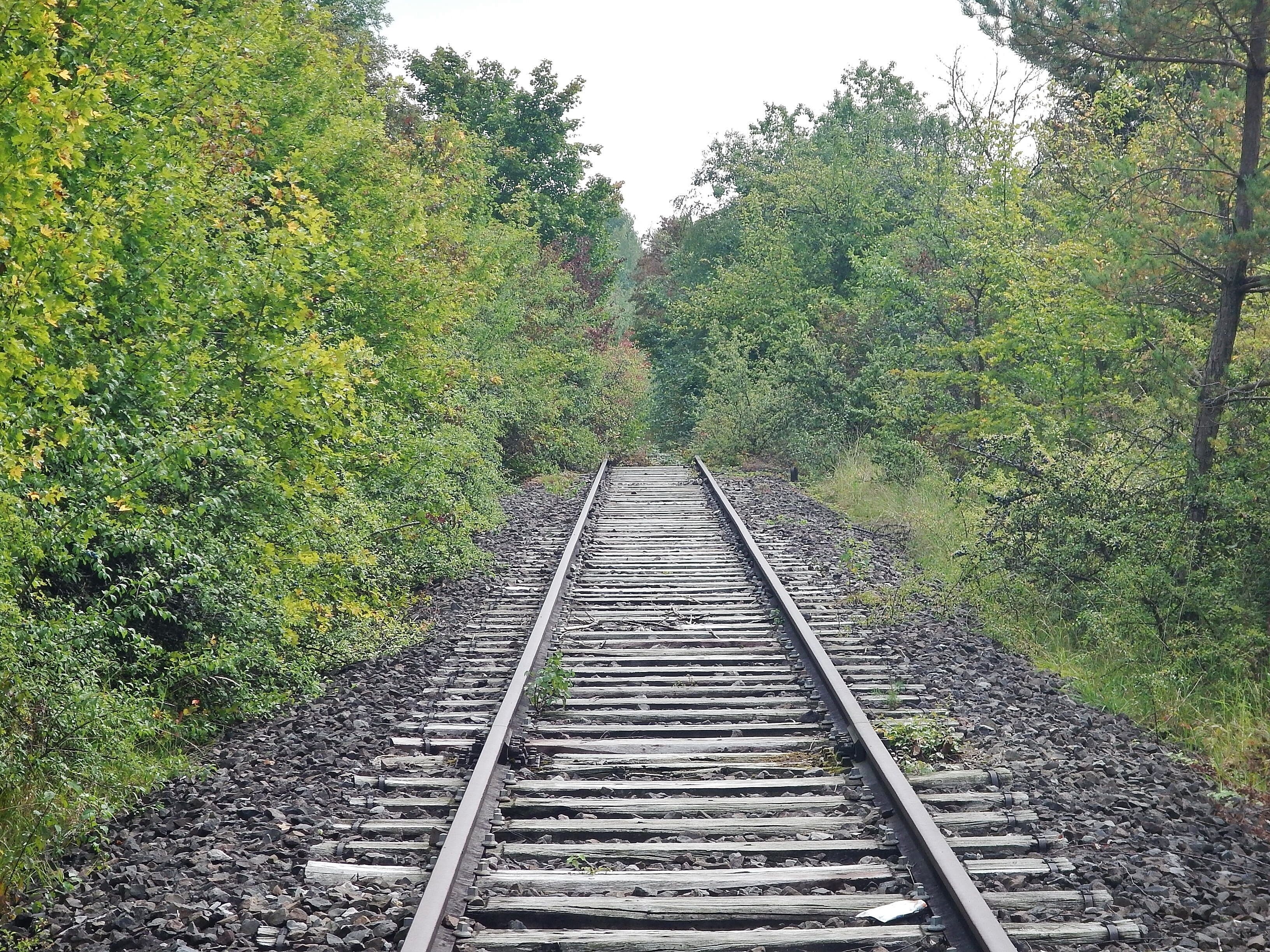 Hermann-Hesse-Bahn, S-Bahn Fertigstellung spätestens 2019 geplant , ehemalig:Württembergische Schwarzwaldbahn, Stuttgart Calw, eröffnet 1872, eingestellt 1983