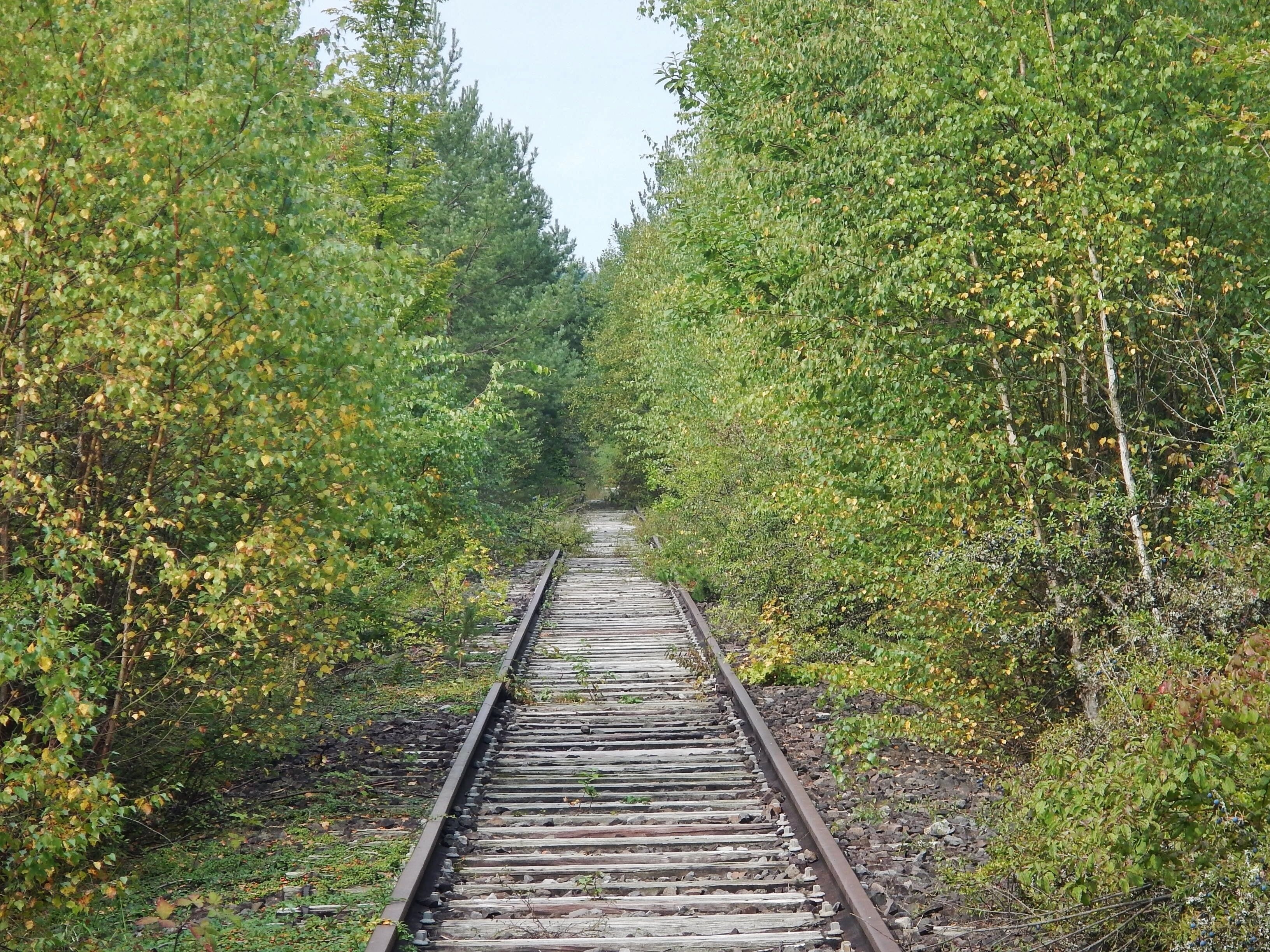 Hermann-Hesse-Bahn, S-Bahn Fertigstellung spätestens 2019 geplant , ehemalig:Württembergische Schwarzwaldbahn, Stuttgart Calw, eröffnet 1872, eingestellt 1983
