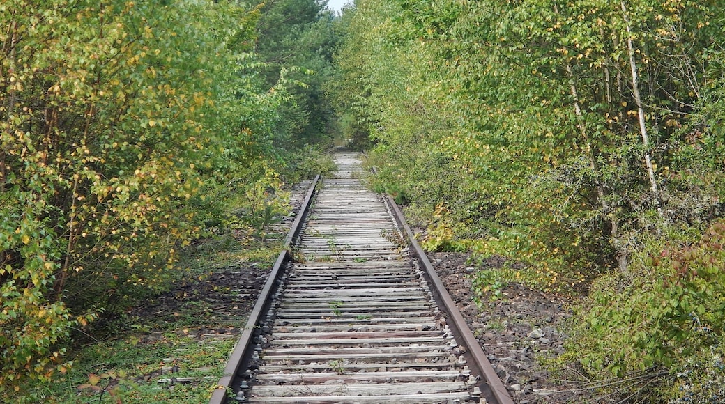 Hermann-Hesse-Bahn, S-Bahn Fertigstellung spätestens 2019 geplant , ehemalig:Württembergische Schwarzwaldbahn, Stuttgart Calw, eröffnet 1872, eingestellt 1983