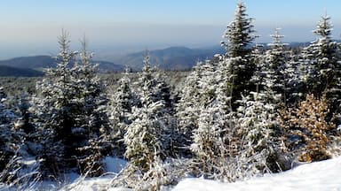 Winter an der SchwarzwaldhochstraĂe