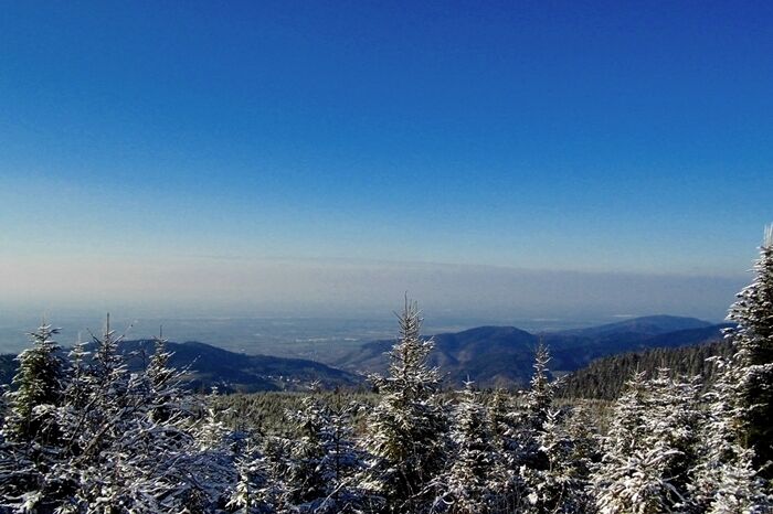 Blick in die Rheinebene