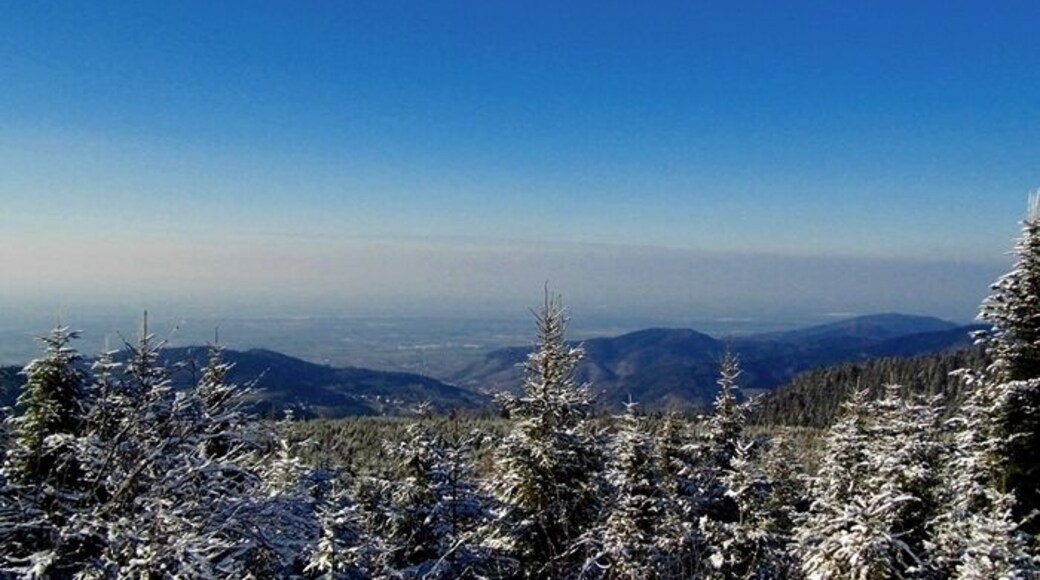 Blick in die Rheinebene