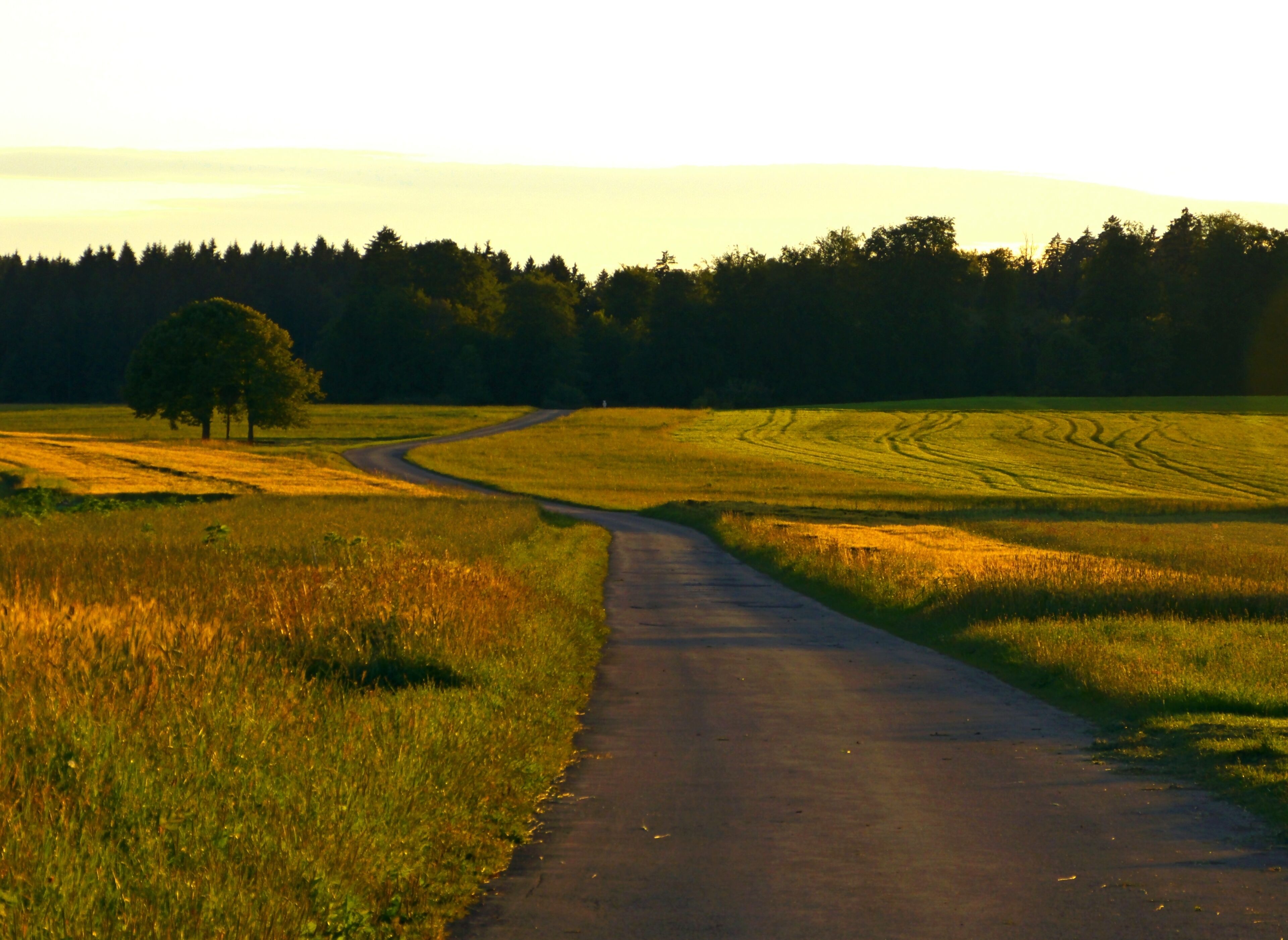 Take The Short Way Home