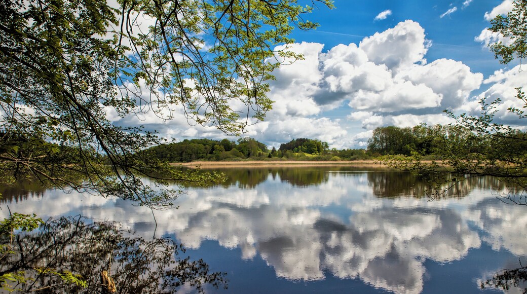 Der Rösslerweiher in der Gemeinde Schlier
