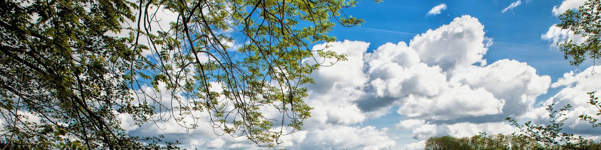 Der Rösslerweiher in der Gemeinde Schlier