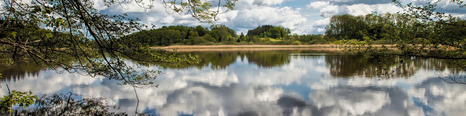Der Rösslerweiher in der Gemeinde Schlier