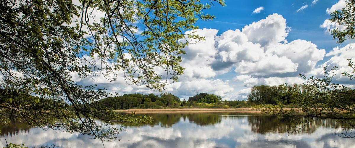 A calm lake with reflections of clouds, surrounded by trees and a clear sky.
