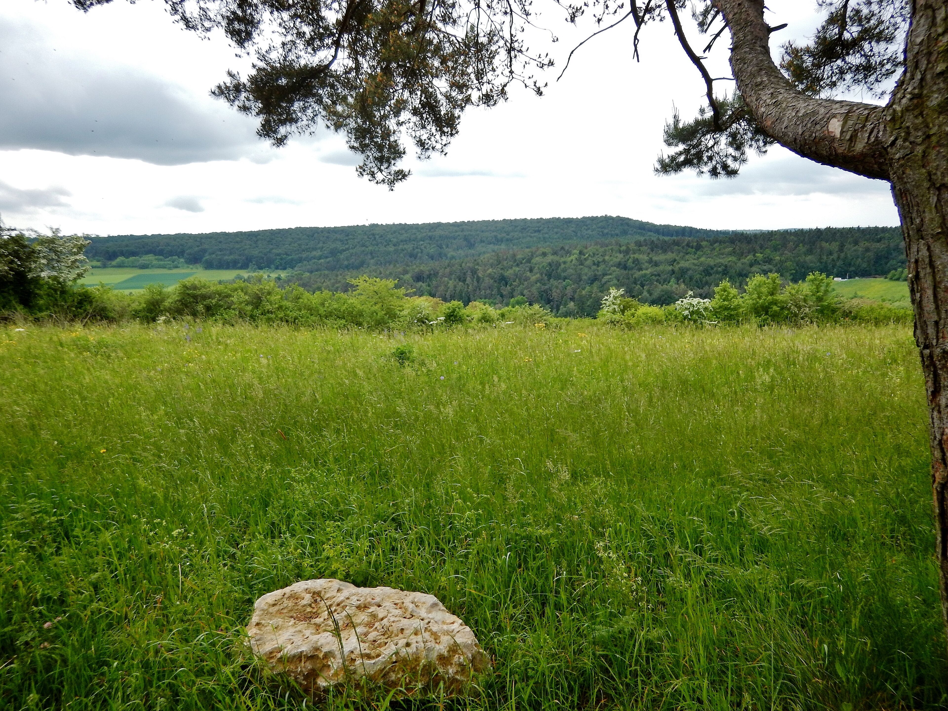Beim Grillplatz bei Simmozheim