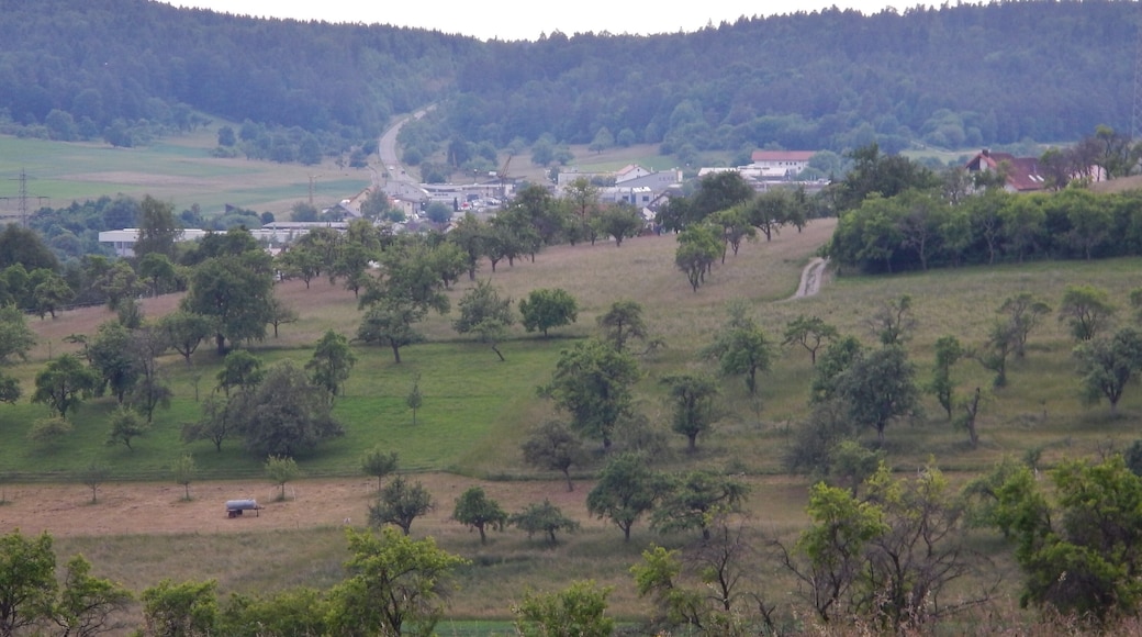 Blick ĂŒber Simmozheim nach Westen auf die BundesstraĂe 295 nach Althengstett.